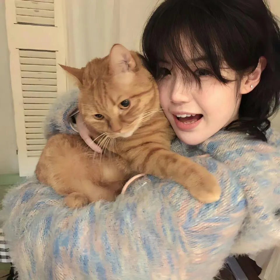 午夜猎物