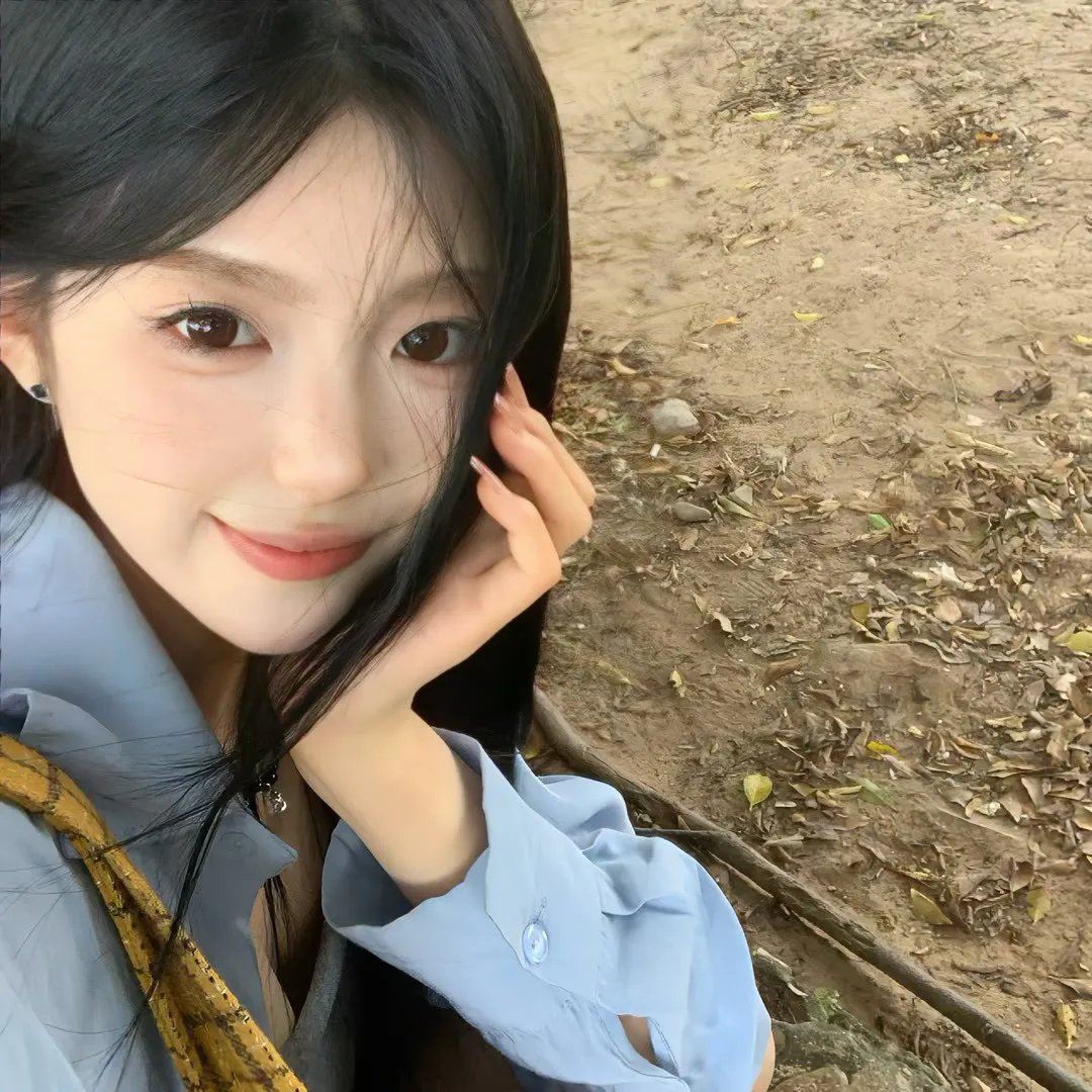 公鸡