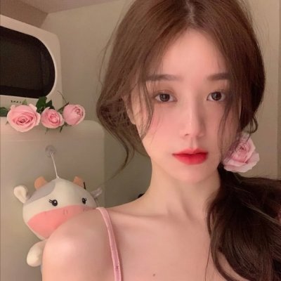 恋爱无法用双子除尽